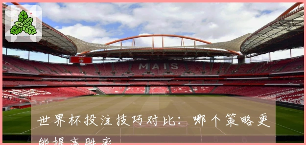 世界杯投注技巧对比：哪个策略更能提高胜率