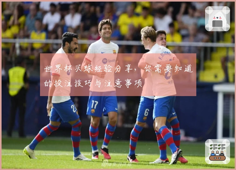 世界杯买球经验分享，你需要知道的投注技巧与注意事项