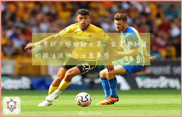 世界杯买球经验分享，你需要知道的投注技巧与注意事项