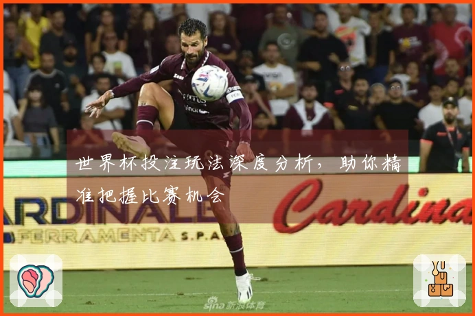 世界杯投注玩法深度分析，助你精准把握比赛机会