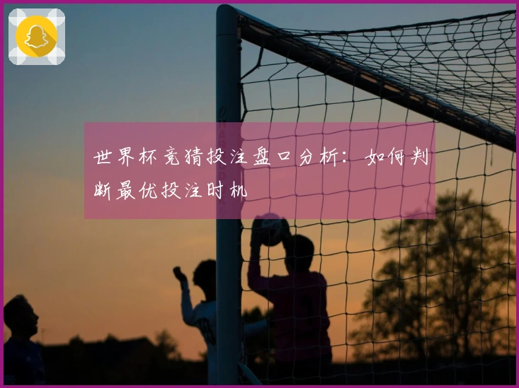 世界杯竞猜投注盘口分析：如何判断最优投注时机